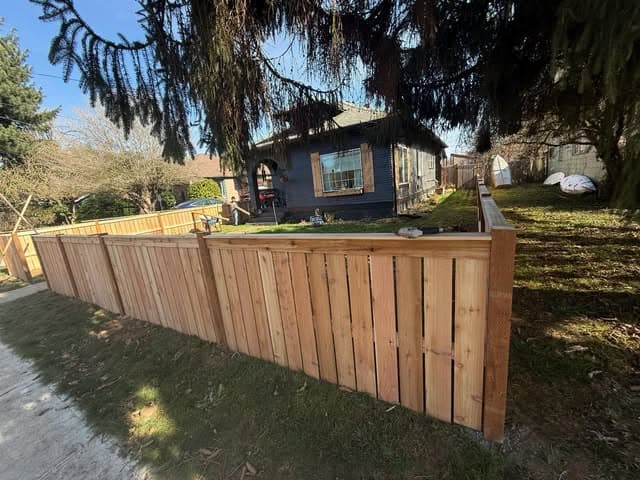 A new horizontal-and-vertical cedar fence running along a sunlit property line.